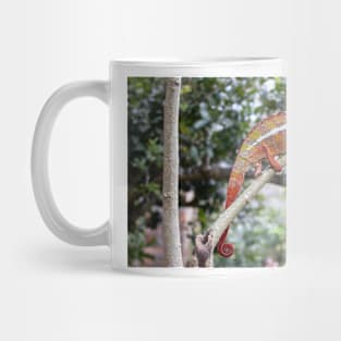 Panther chameleon, Madagascar Mug